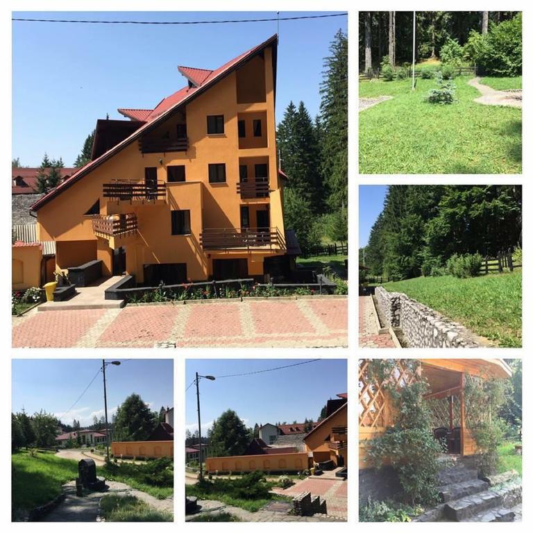 Pensiunea Mihaela Poiana Brasov Exteriör bild