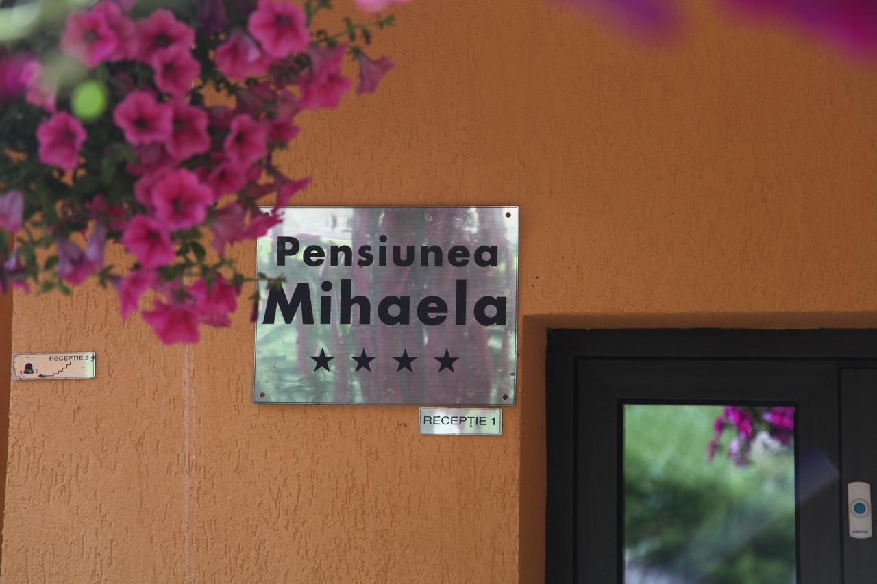 Pensiunea Mihaela Poiana Brasov Exteriör bild