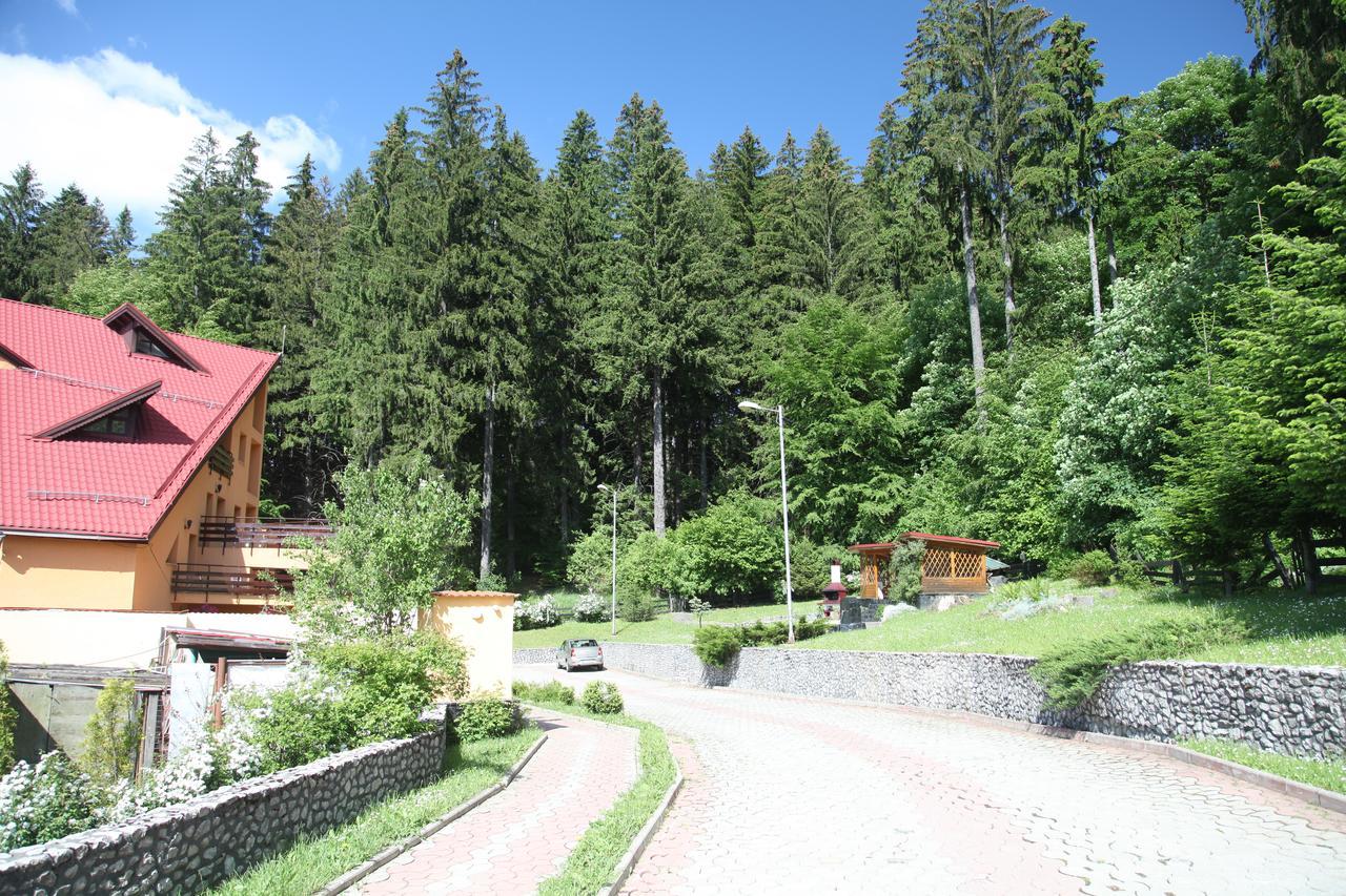 Pensiunea Mihaela Poiana Brasov Exteriör bild